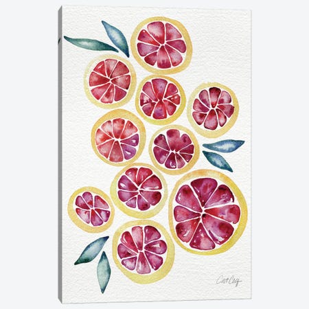 Grapefruits Canvas Print #CCE122} by Cat Coquillette Canvas Artwork