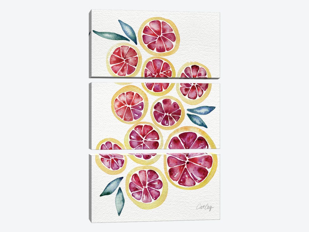 Grapefruits by Cat Coquillette 3-piece Art Print
