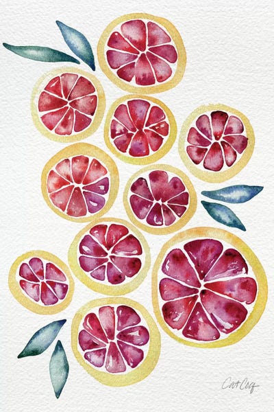 Tropical Décor: Grapefruits by Cat Coquillette