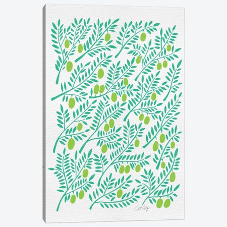 Green Olive Branches Canvas Print #CCE127} by Cat Coquillette Canvas Print