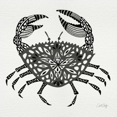 Grey Crab by Cat Coquillette canvas print