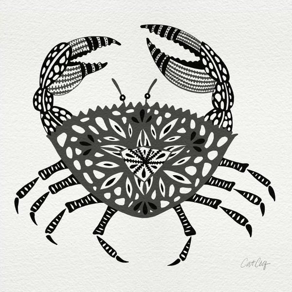 Crabs: Grey Crab by Cat Coquillette