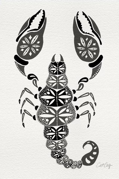 Cat Coquillette: Grey Scorpion by Cat Coquillette