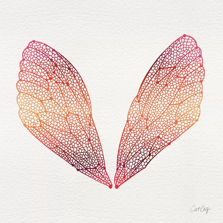 Cicada Wings Pink Orange