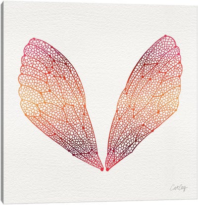 Cicada Wings Pink Orange Canvas Art Print - Wings Art