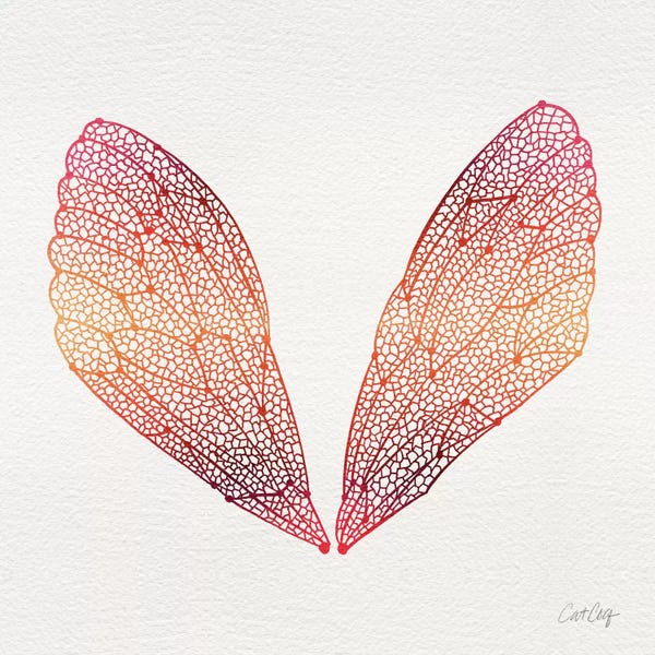 Cicadas: Cicada Wings Pink Orange by Cat Coquillette