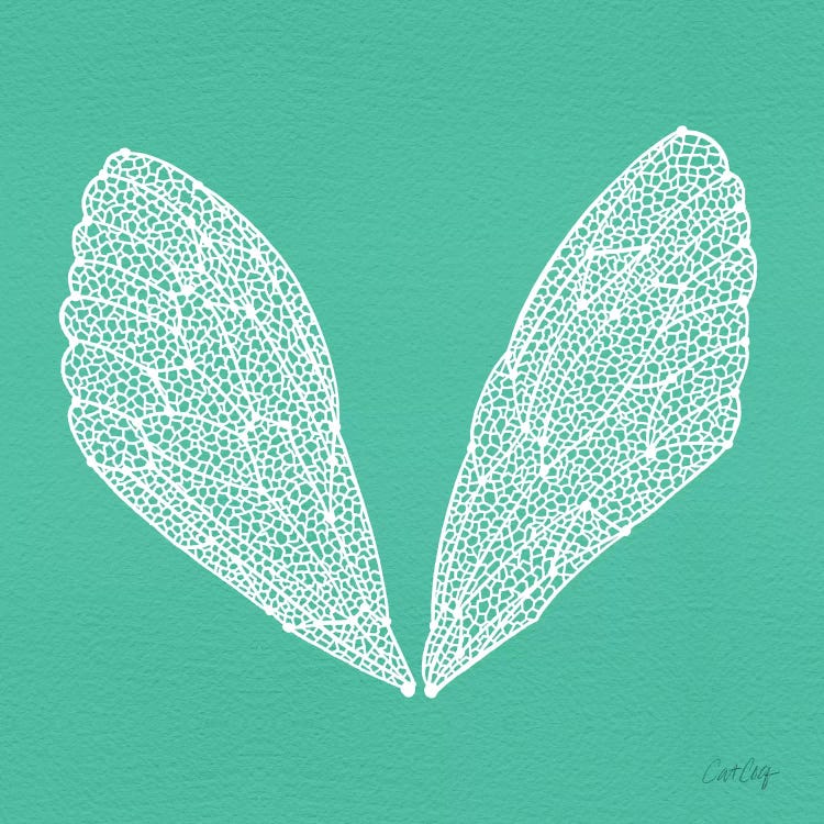 Cicada Wings Turquoise White by Cat Coquillette wall art