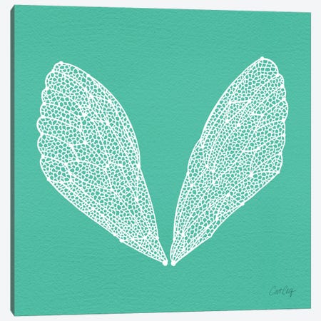Cicada Wings Turquoise White Canvas Print #CCE138} by Cat Coquillette Canvas Print