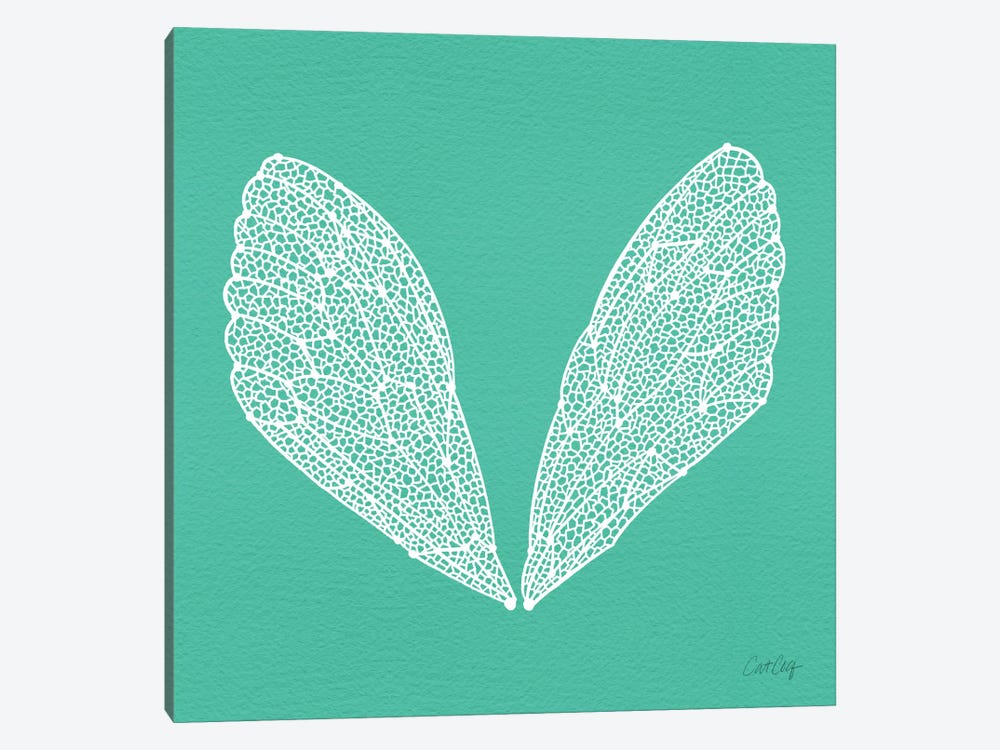 Cicada Wings Turquoise White by Cat Coquillette 1-piece Canvas Artwork