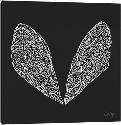 Cicada Wings White Canvas Art Print - Black & White Animal Art
