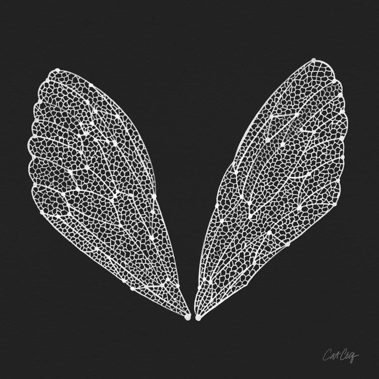 Cicada Wings White