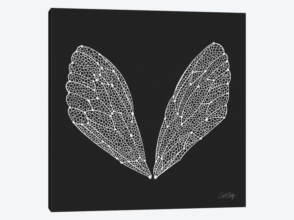 Cicada Wings White by Cat Coquillette 1-piece Canvas Print