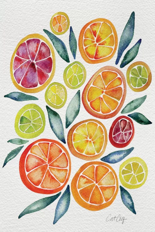 Citrus Slices