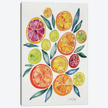 Citrus Slices Canvas Print #CCE141} by Cat Coquillette Canvas Wall Art
