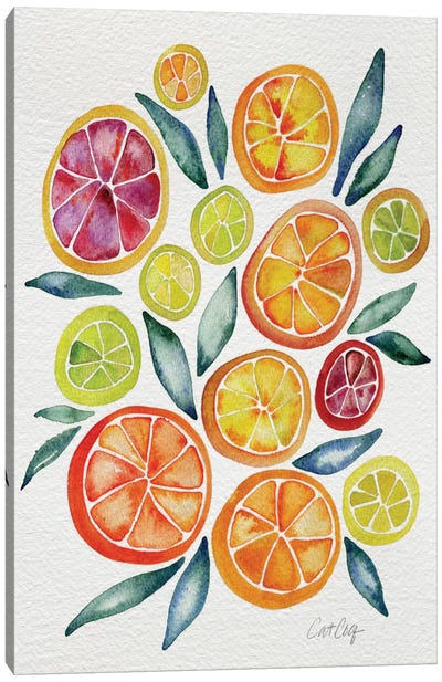Citrus Slices Canvas Art Print - Minimalist Kitchen Art