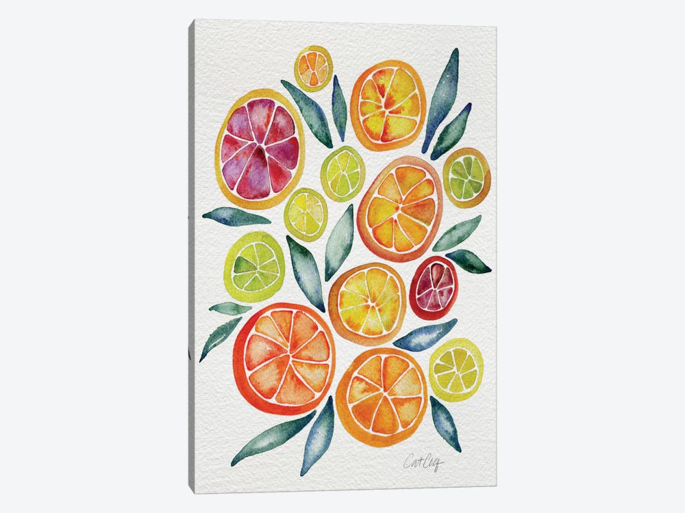 Citrus Slices by Cat Coquillette 1-piece Canvas Art