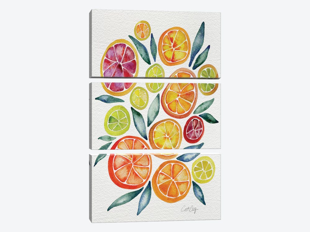 Citrus Slices by Cat Coquillette 3-piece Canvas Art