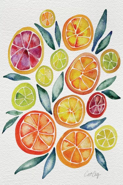 Minimalist Décor: Citrus Slices by Cat Coquillette