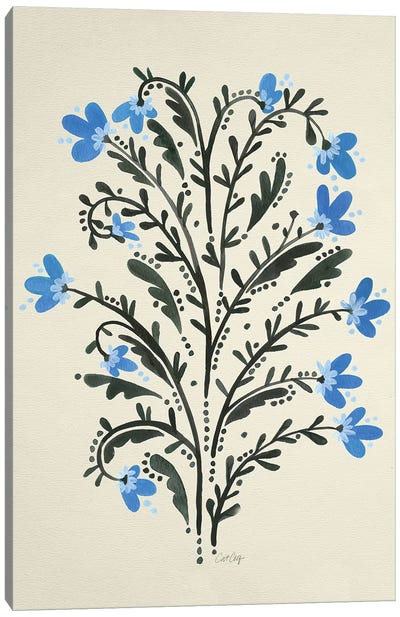 Flowers Canvas Art Print - Cat Coquillette