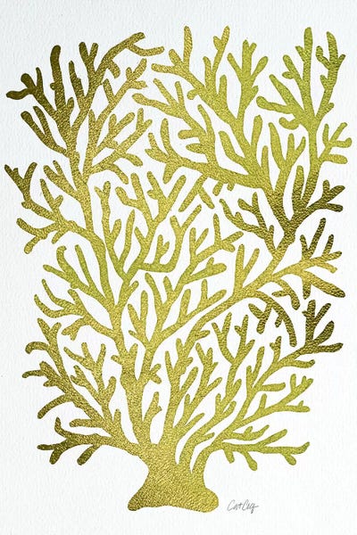 Gold Coral