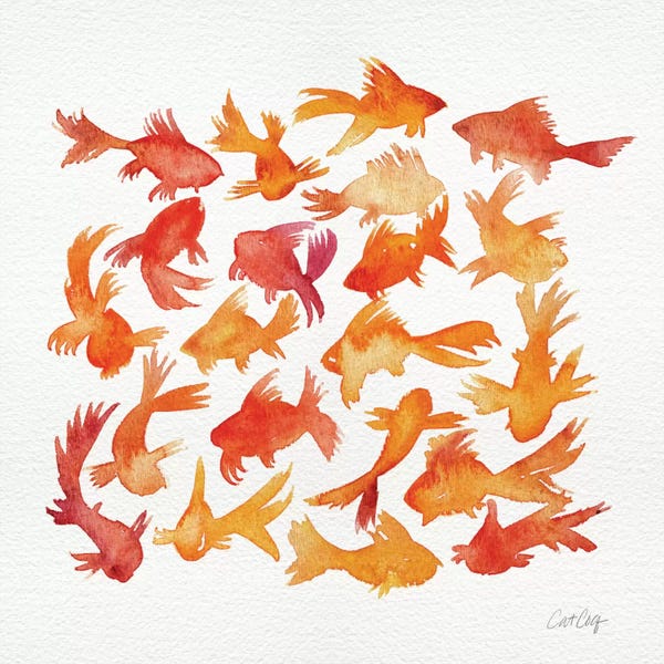 Animal Patterns: Goldfish by Cat Coquillette