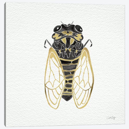 Cicada Gold Black Canvas Print #CCE1} by Cat Coquillette Canvas Art Print