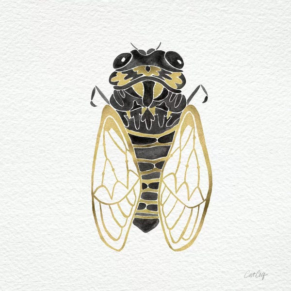 Cicadas: Cicada Gold Black by Cat Coquillette
