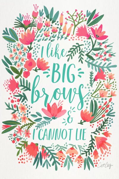 Big Brows I by Cat Coquillette canvas print