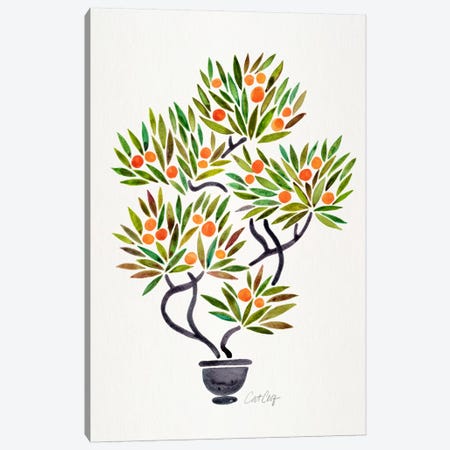 Bonsai Orange Tree I Canvas Print #CCE201} by Cat Coquillette Canvas Print