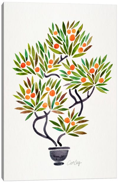 Bonsai Orange Tree I Canvas Art Print - Oranges