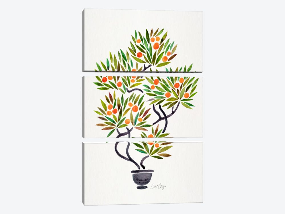 Bonsai Orange Tree I 3-piece Canvas Wall Art