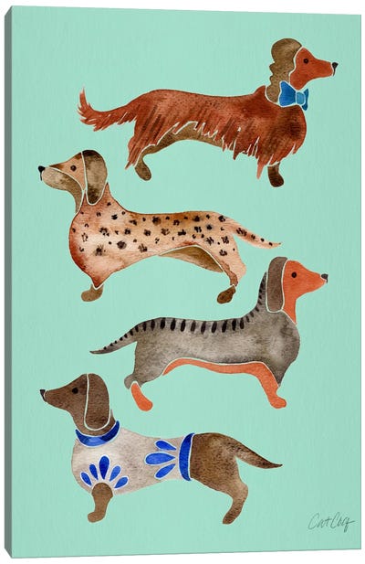 Dachshunds I Canvas Art Print - Dog Art