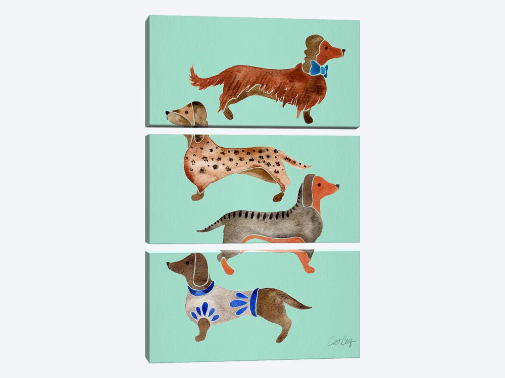 Dachshunds I by Cat Coquillette 3-piece Canvas Art