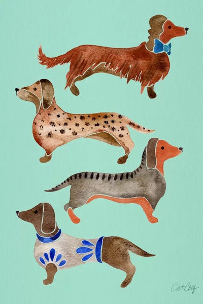 Cat Coquillette: Dachshunds I by Cat Coquillette