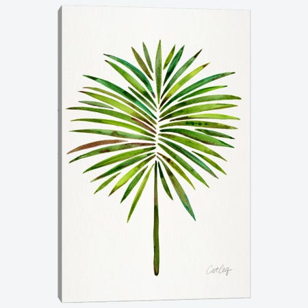 Fan Palm I Canvas Print #CCE213} by Cat Coquillette Canvas Art