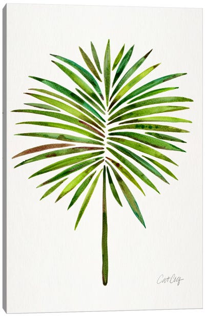Fan Palm I Canvas Art Print - Earthen Greenery