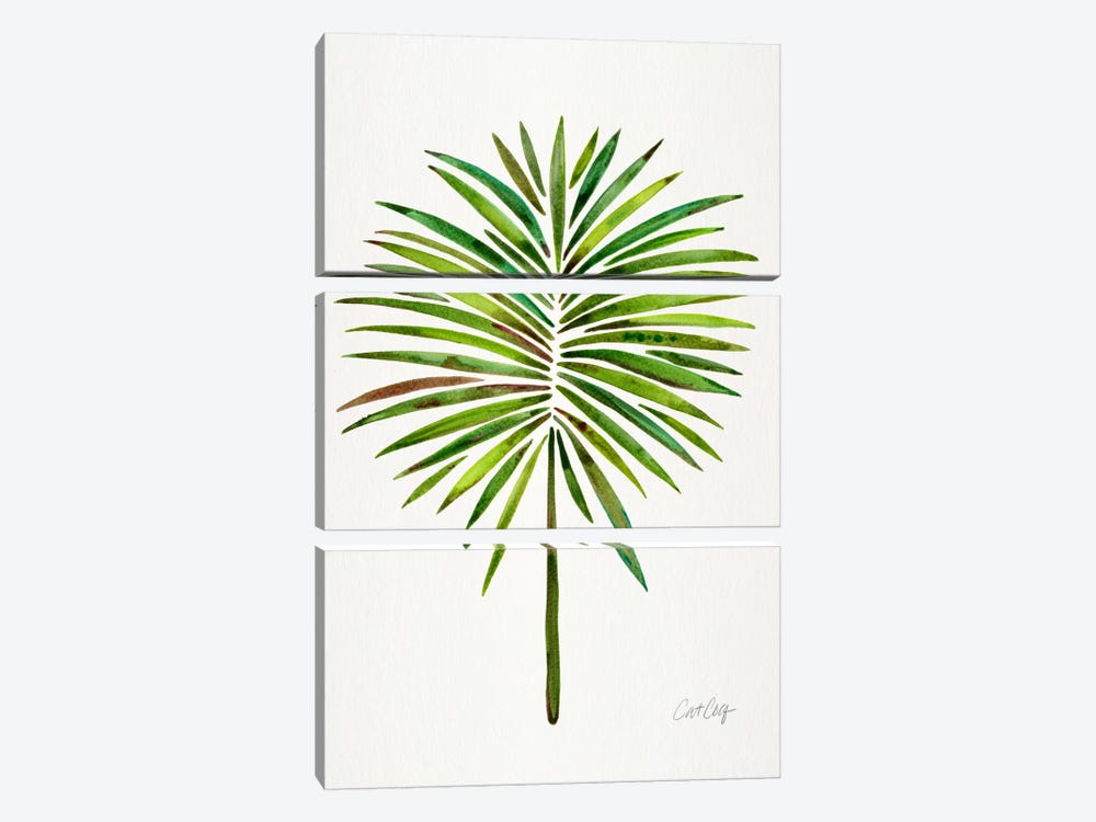 Fan Palm I by Cat Coquillette 3-piece Canvas Art Print
