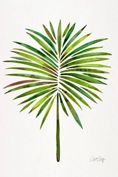 Tropical Leaves: Fan Palm I by Cat Coquillette