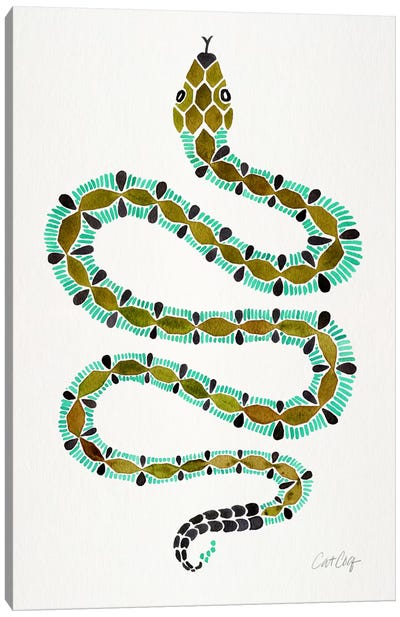 Lone Serpent Canvas Art Print - Snake Art