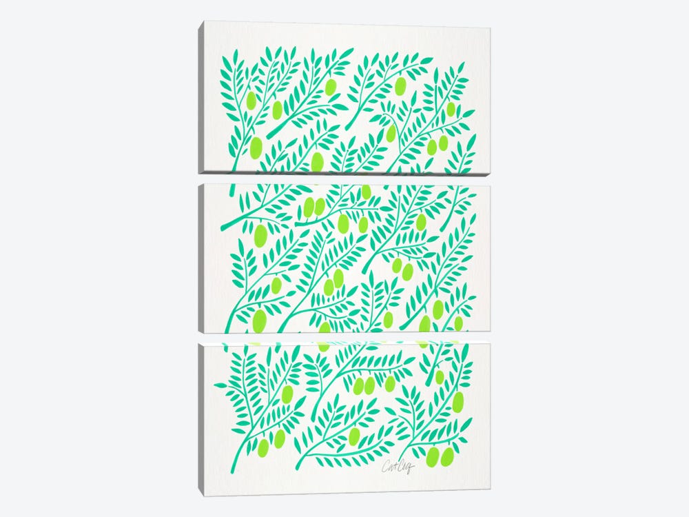 Olive Branches II by Cat Coquillette 3-piece Canvas Artwork