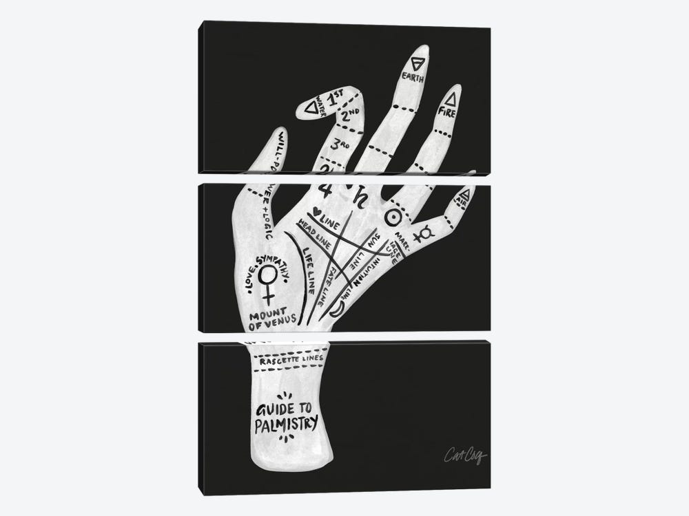 Palmistry II by Cat Coquillette 3-piece Canvas Artwork
