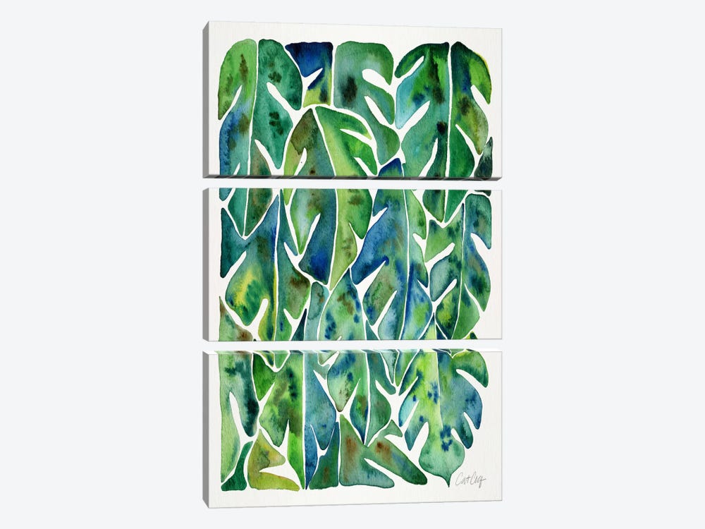 Philodendron I by Cat Coquillette 3-piece Canvas Art Print