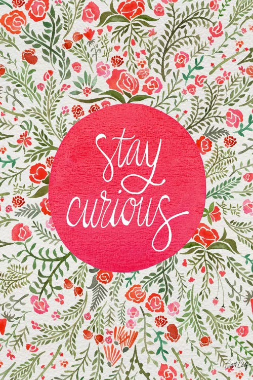 Stay Curious II