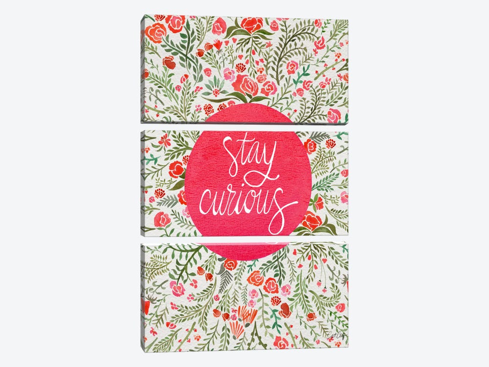 Stay Curious II by Cat Coquillette 3-piece Canvas Artwork