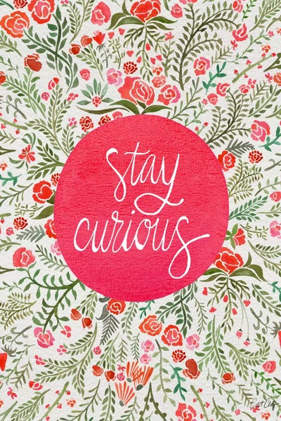 Cat Coquillette: Stay Curious II by Cat Coquillette