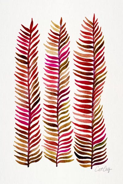 Ferns: Stem Trio III by Cat Coquillette