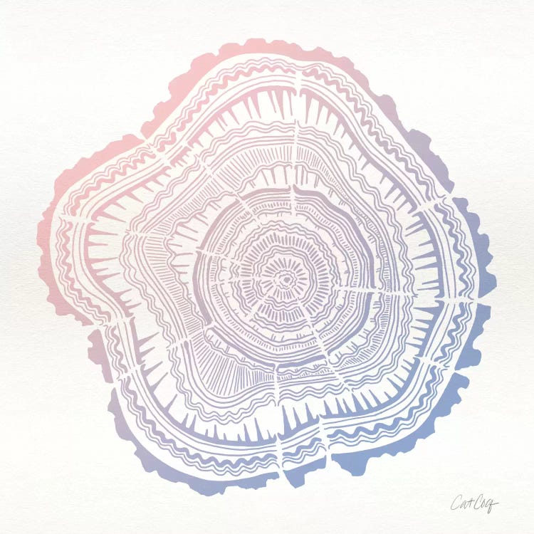 Tree Rings I by Cat Coquillette wall art