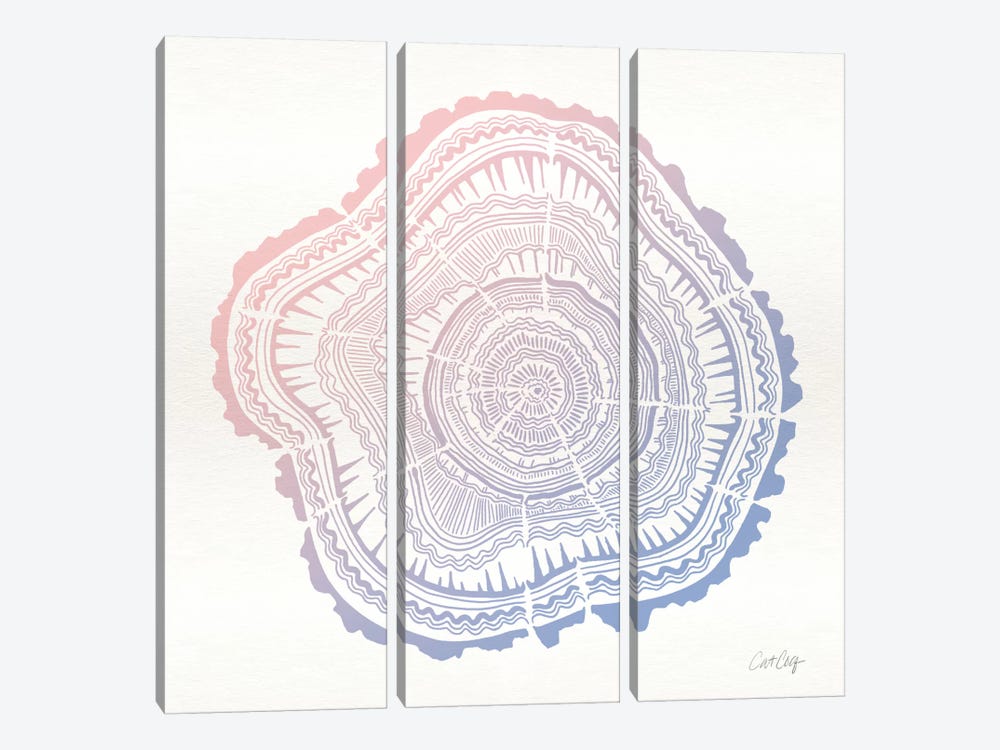 Tree Rings I by Cat Coquillette 3-piece Canvas Art Print