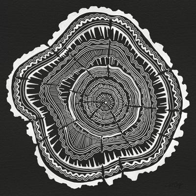 Tree Rings II by Cat Coquillette framed canvas print