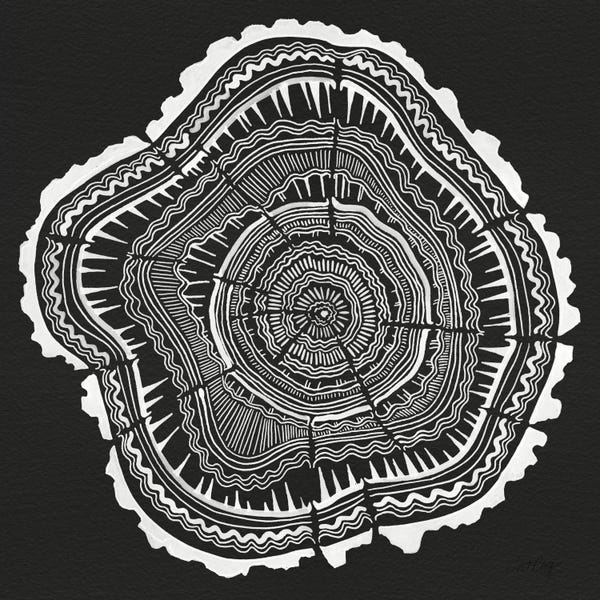Cat Coquillette: Tree Rings II by Cat Coquillette